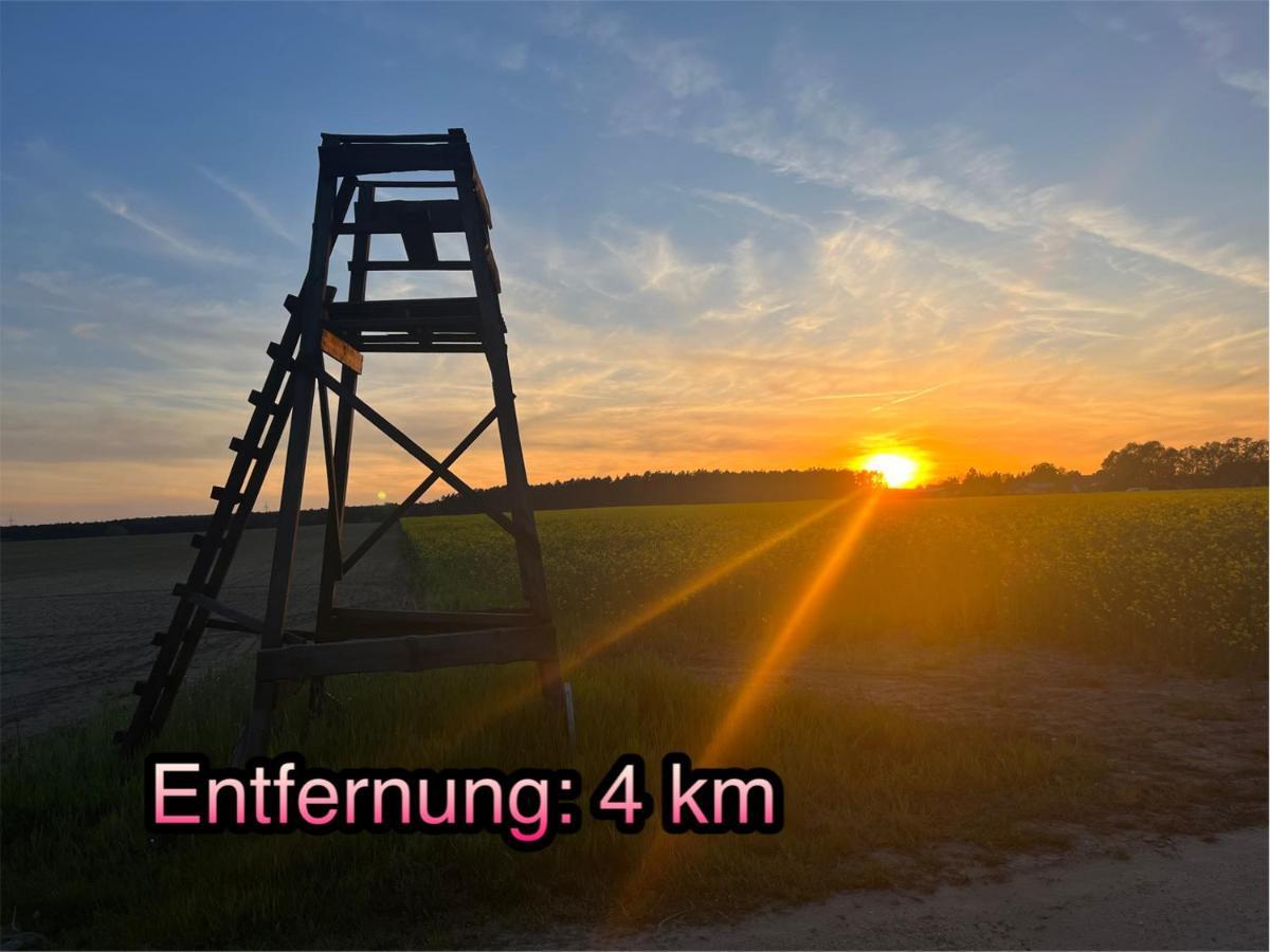 Wormis Apartment Heideblick Bei Luckau Dış mekan fotoğraf